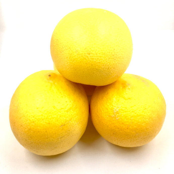 Citrons doux - لیمو شیرین